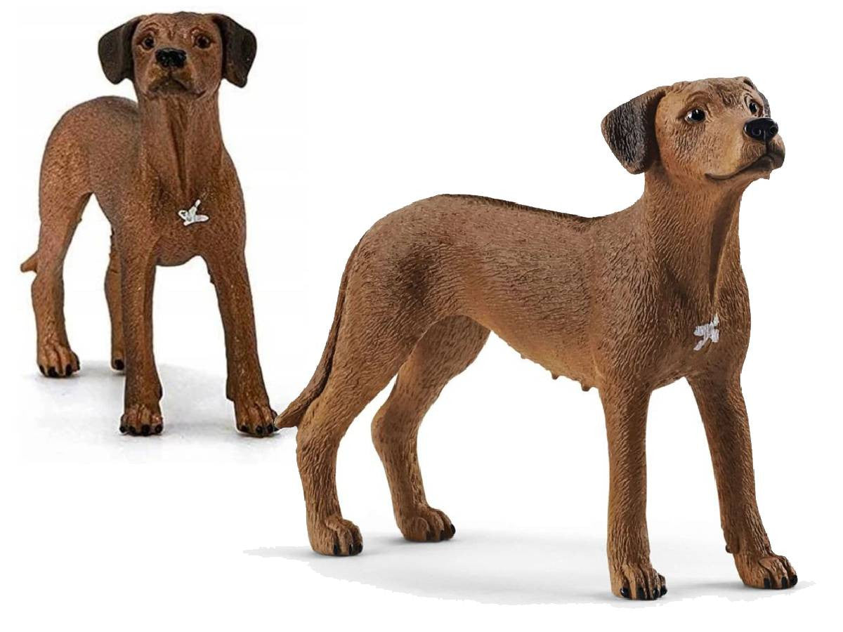 Schleich 13895 Perro Crestado De Rodesia 20 Farm World