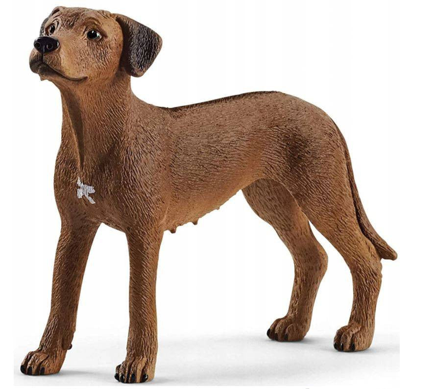 Schleich 13895 Perro Crestado De Rodesia 20 Farm World