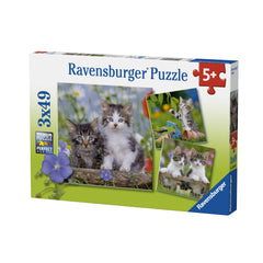 Ravensburger Puzzle 3X49 Ud Gatitos