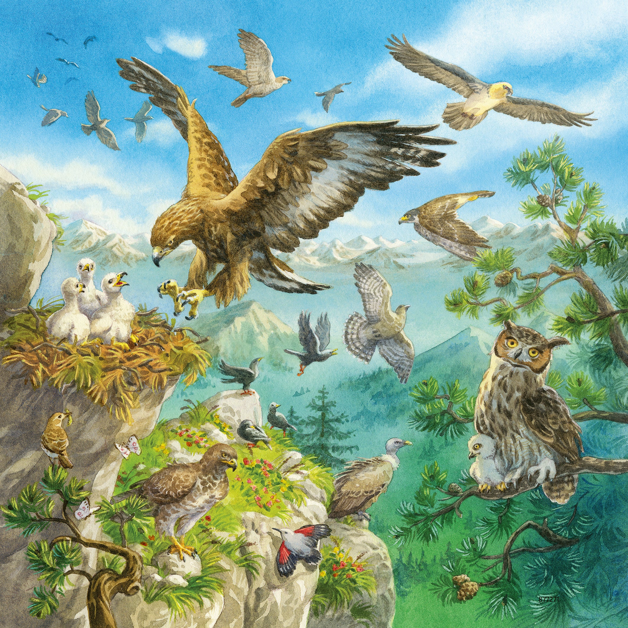 Ravensburger Puzzle 3X49 Ud Animales