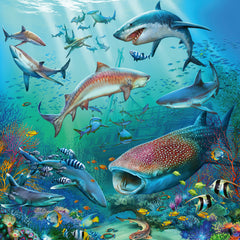 Ravensburger Puzzle 3X49 Pc Vida Oceánica