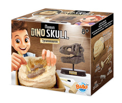 Cráneo De Dinosaurio Buki - Tiranosaurio