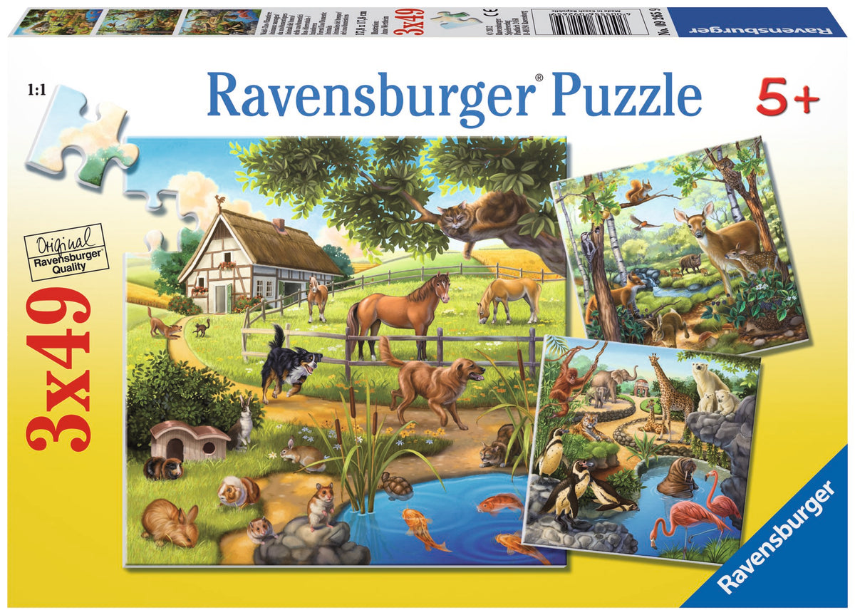 Ravensburger Puzzle 3X49 Ud Animales