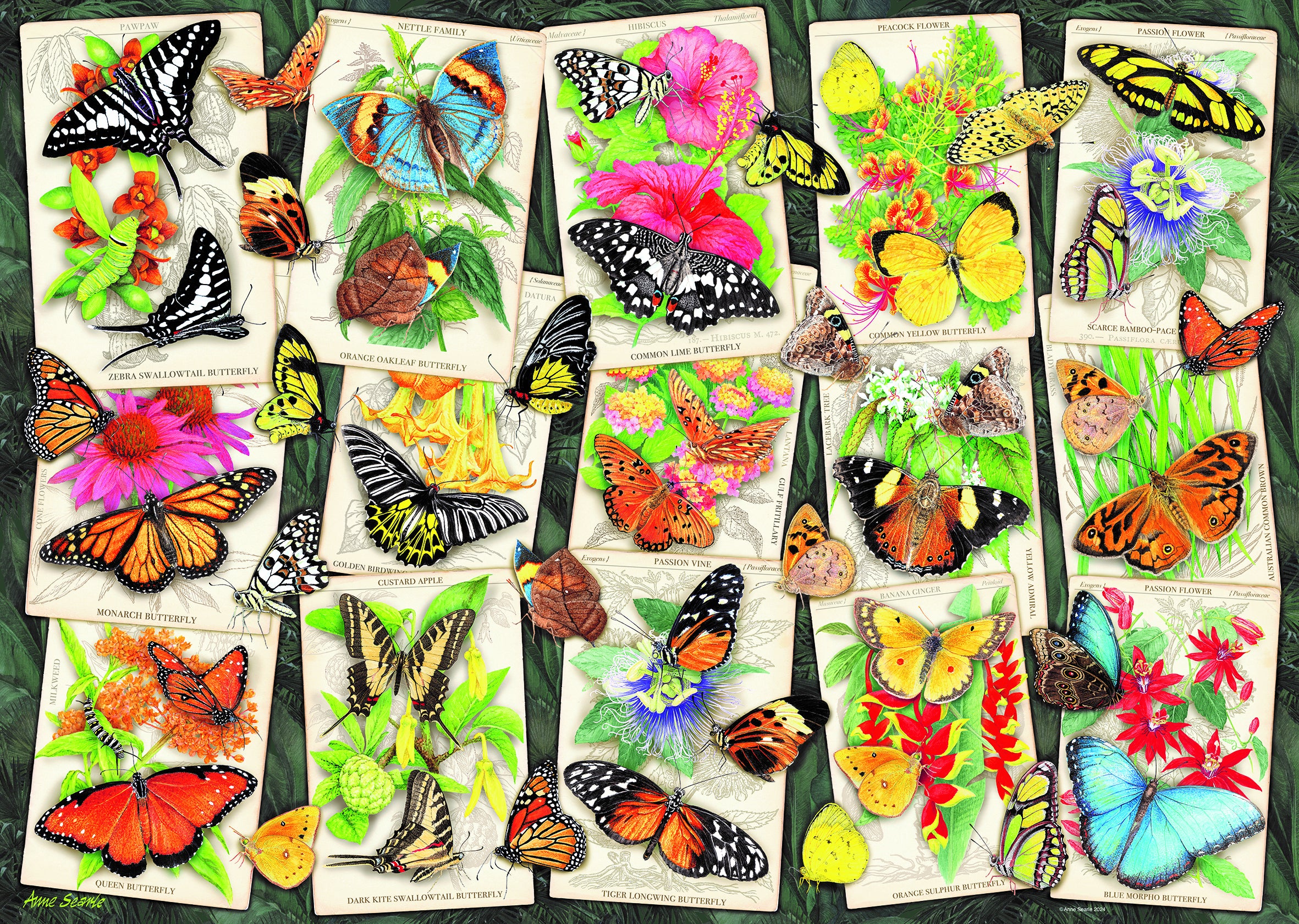 Ravensburger Puzzle 1000 Piezas Mariposas Exóticas