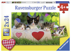 Ravensburger Puzzle 2X24 Ud Gatos