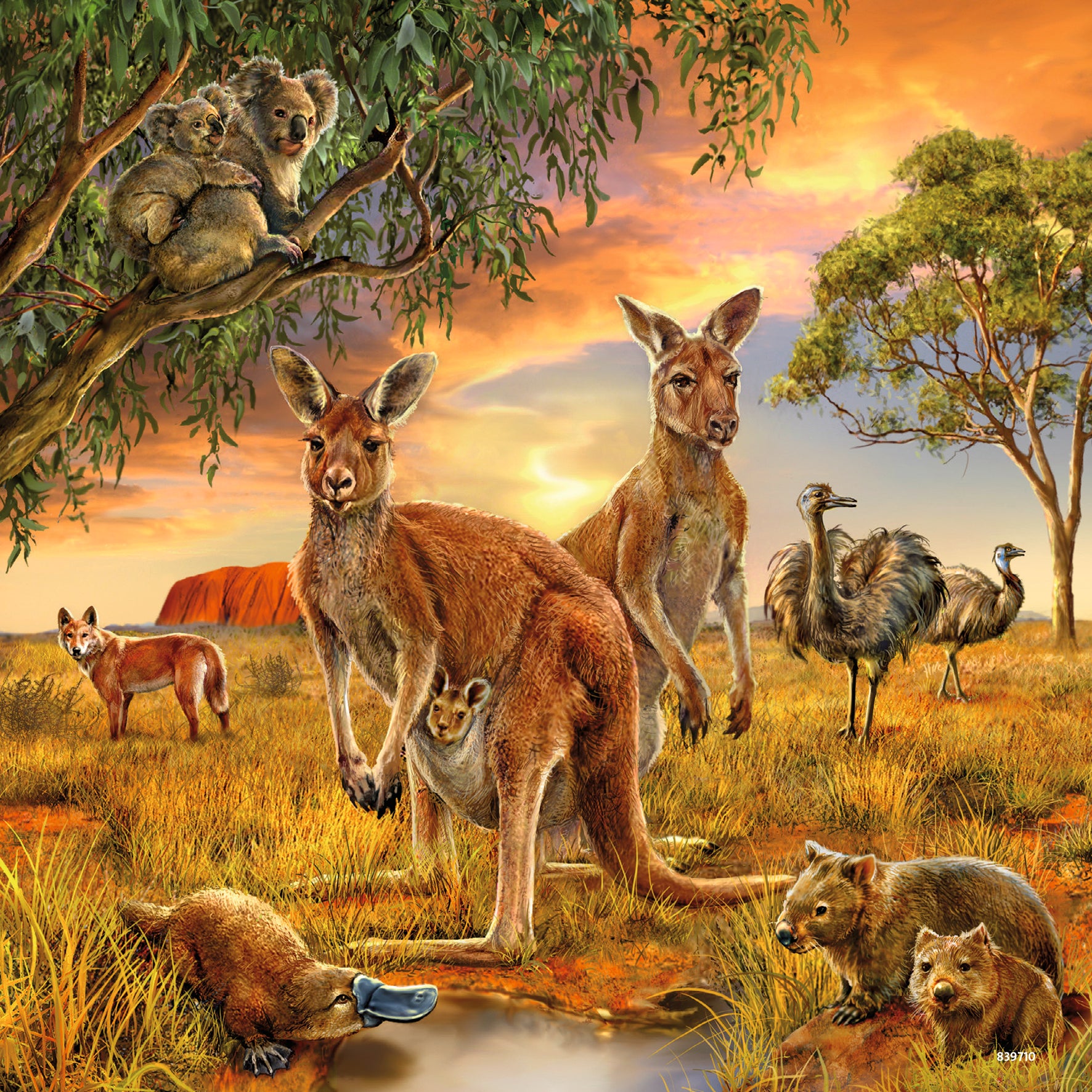 Ravensburger Puzzle 3x49 ud Mundo Animales