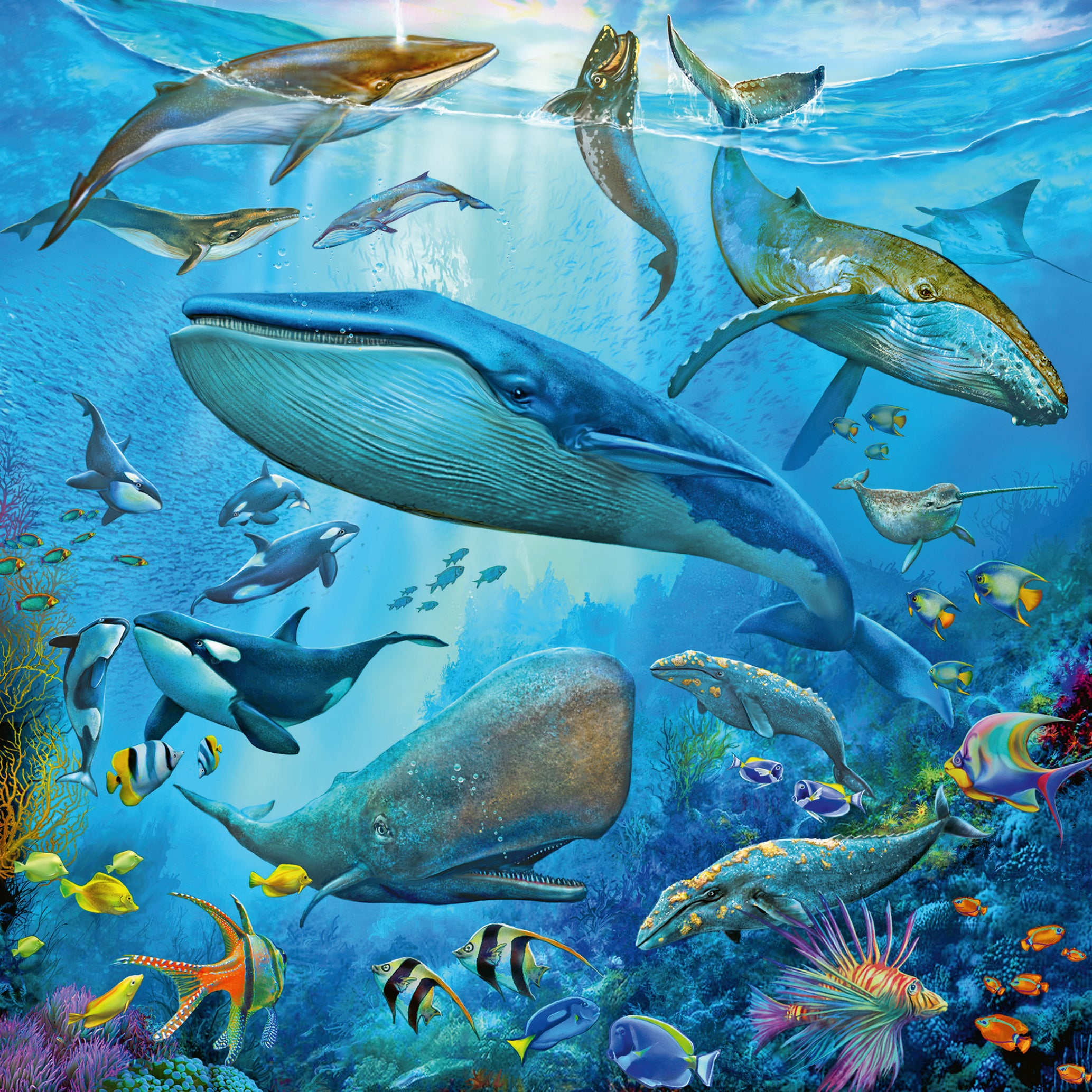 Ravensburger Puzzle 3X49 Pc Vida Oceánica