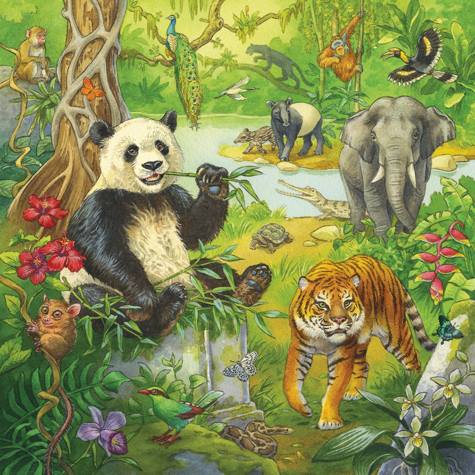 Ravensburger Puzzle 3X49 Pz Diversión En La Selva