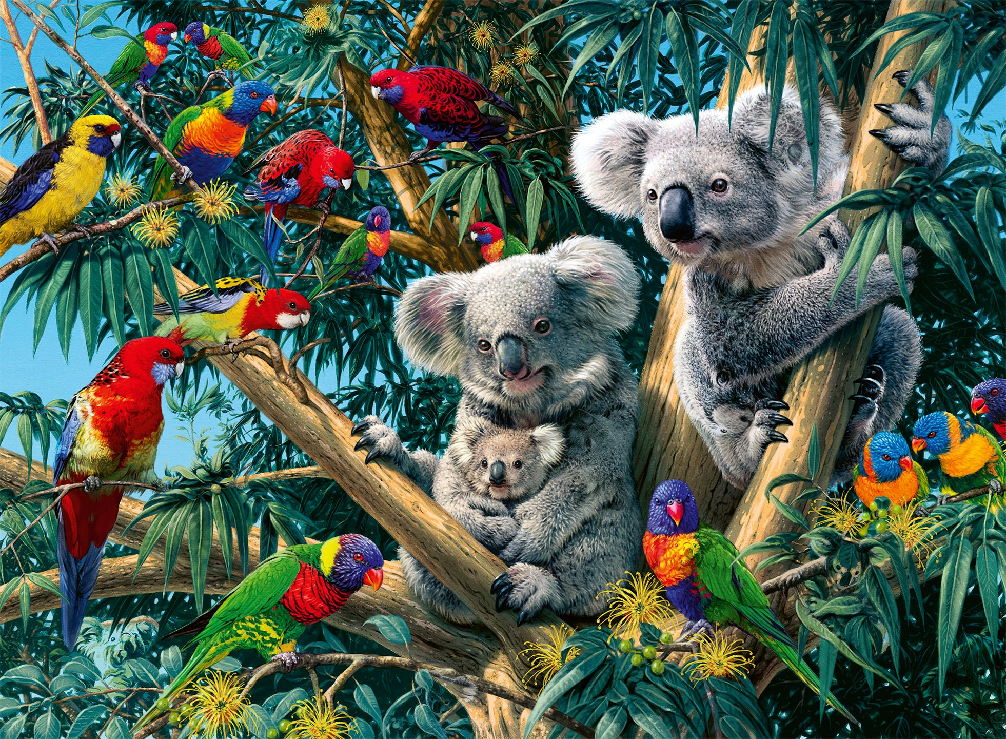 Ravensburger Puzzle 500 Piezas Koalas En Un Árbol