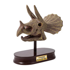 Museo Buki Cráneo Triceratops